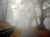 Madonna del Sasso (Ortasee)